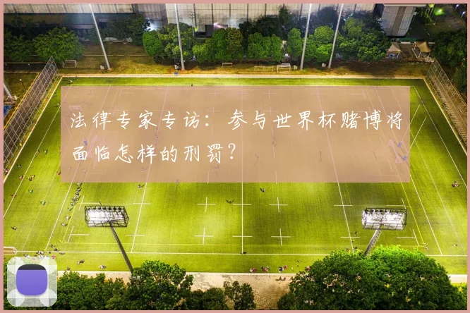 法律专家专访：参与世界杯赌博将面临怎样的刑罚？