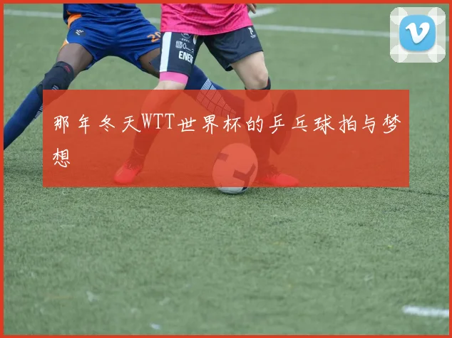 那年冬天WTT世界杯的乒乓球拍与梦想