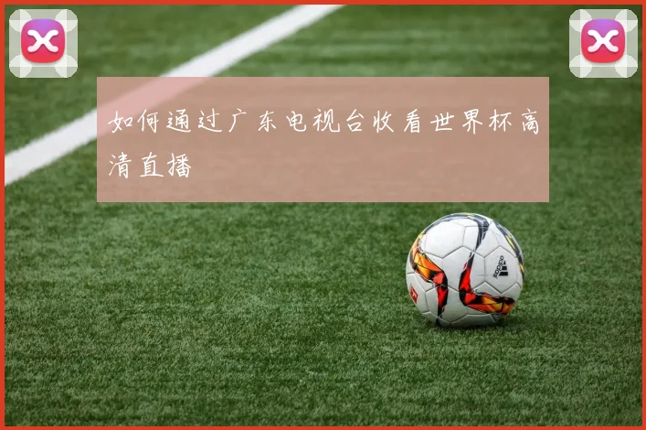 如何通过广东电视台收看世界杯高清直播