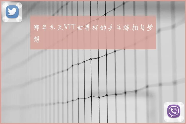 那年冬天WTT世界杯的乒乓球拍与梦想