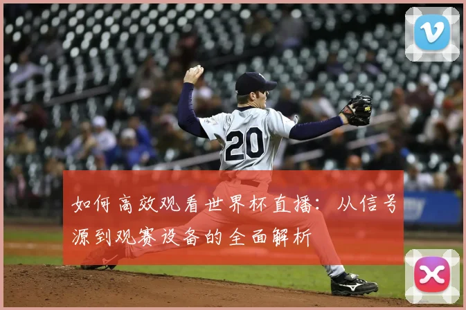 如何高效观看世界杯直播：从信号源到观赛设备的全面解析