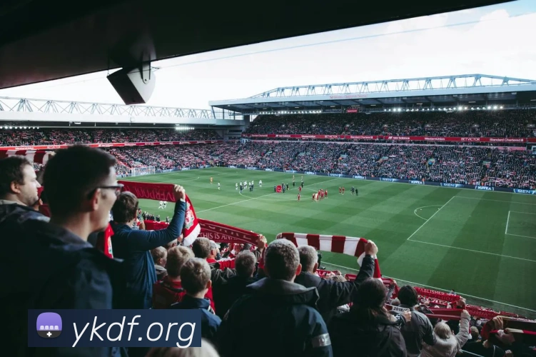 必一运动b官网APP 封面图